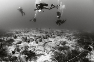 archeological studies by Mathieu Foulquié 